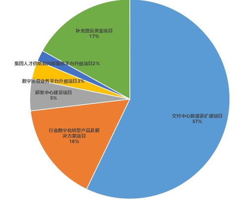 軟通動力上市喜憂參半，行業變局劍指軟件外包模式